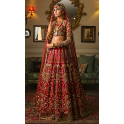 Carmine Nemesia Lehenga Choli