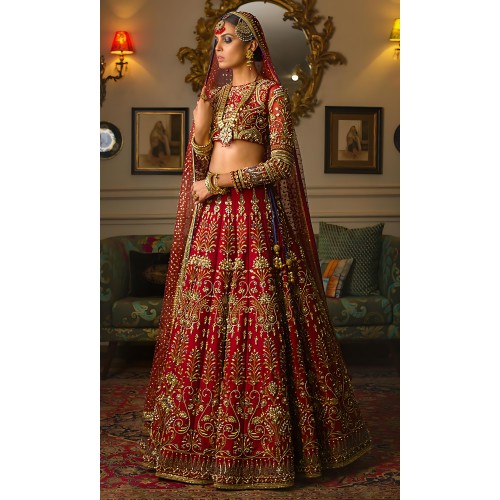Carmine Nemesia Lehenga Choli Carmine Nemesia Lehenga Choli