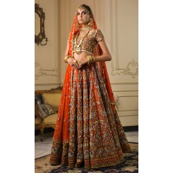 Tangelo Nemesia Lehenga Choli