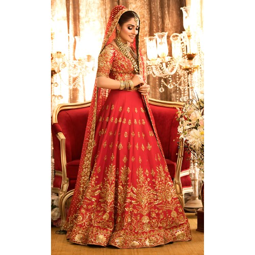Red Silver Nemesia Choli Lehenga Red Silver Nemesia Choli Lehenga