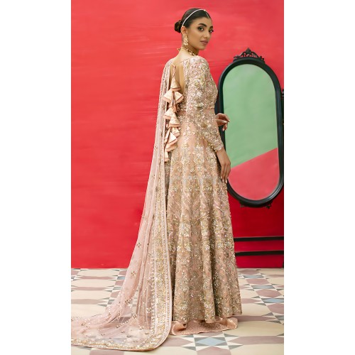 Cotton Candy Nemesia Pishwas