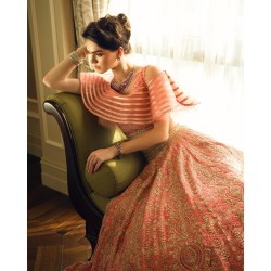 Salmon Fleur-de-lis Lehenga Choli