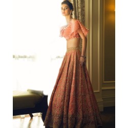 Salmon Fleur-de-lis Lehenga Choli