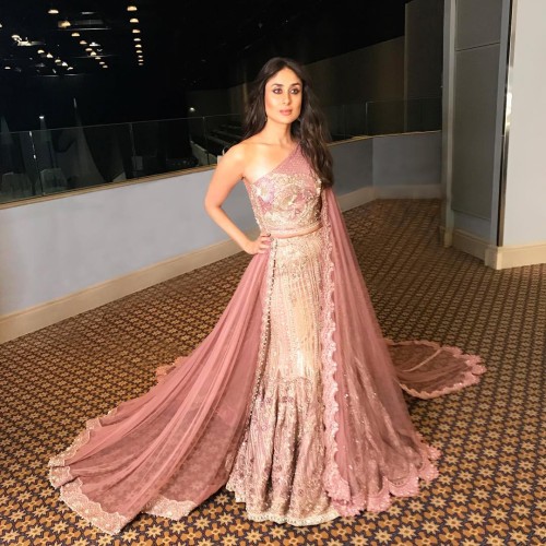 New York Pink Fleur-de-lis Lehenga Choli New York Pink Fleur-de-lis Lehenga Choli