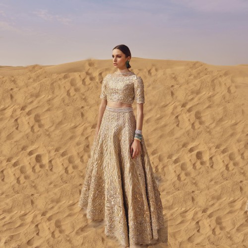 Deep Champagne Fleur-de-lis Lehenga Choli Deep Champagne Fleur-de-lis Lehenga Choli