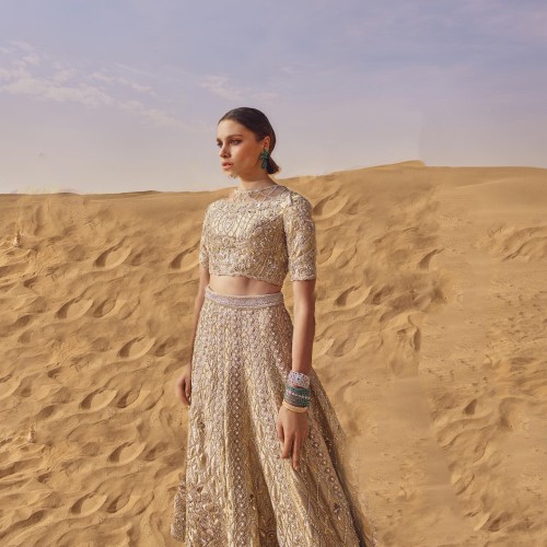 Deep Champagne Fleur-de-lis Lehenga Choli Deep Champagne Fleur-de-lis Lehenga Choli