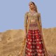 Copper and Cornell Red Fleur-de-lis Lehenga and Shirt