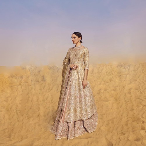 Sunset Fleur-de-lis Gown and Lehenga