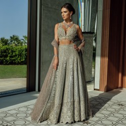 Light Walnut Brown Fleur-de-lis Lehenga Choli