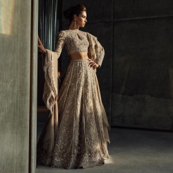 Dun Fleur-de-lis Choli and Lehenga