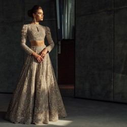Dun Fleur-de-lis Choli and Lehenga