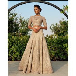 Light Orange Fleur-de-lis Lehenga and Choli