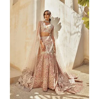 Desert Sand Fleur-de-lis Lehenga Choli