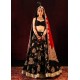 Black Marsh Choli and Lehenga