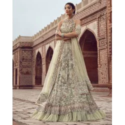 Nyanza Julia Lehenga Choli