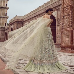 Nyanza Julia Lehenga Choli