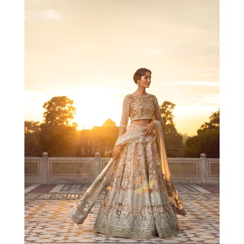 Desert Sand Julia Lehenga Choli Desert Sand Julia Lehenga Choli