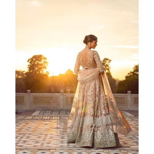 Desert Sand Julia Lehenga Choli Desert Sand Julia Lehenga Choli