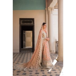 Atomic Tangerine Snapdragon Pishwas and Lehenga Atomic Tangerine Snapdragon Pishwas and Lehenga