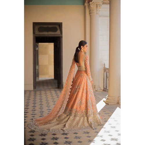 Atomic Tangerine Snapdragon Pishwas and Lehenga Atomic Tangerine Snapdragon Pishwas and Lehenga