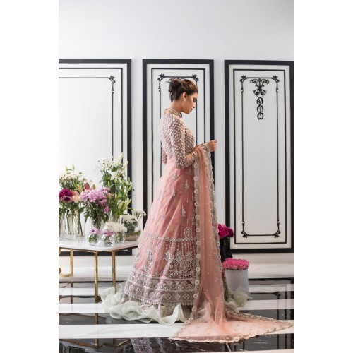 Rose Ombre Snapdragon Gown and Lehenga Rose Ombre Snapdragon Gown and Lehenga