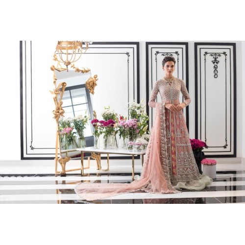 Rose Ombre Snapdragon Gown and Lehenga Rose Ombre Snapdragon Gown and Lehenga