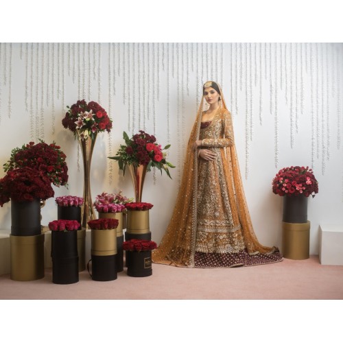 Tiger's Eye Snapdragon Pishwas and Lehenga