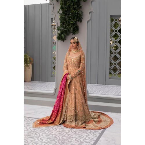 Light Salmon Snapdragon Pishwas and Farshi Gharara Light Salmon Snapdragon Pishwas and Farshi Gharara