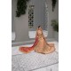 Light Salmon Snapdragon Pishwas and Farshi Gharara Light Salmon Snapdragon Pishwas and Farshi Gharara