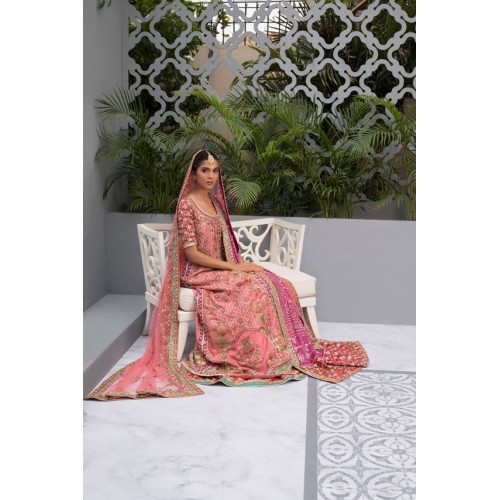 Dark Coral Snapdragon Pishwas and Lehenga