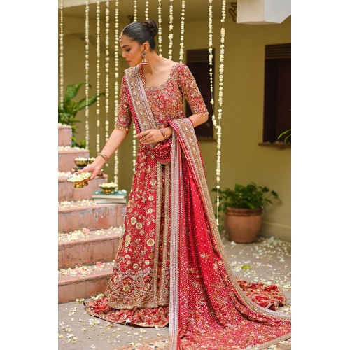 Red Silver Snapdragon Pishwas and Lehenga Red Silver Snapdragon Pishwas and Lehenga