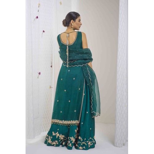 Dragon Fly Jazmine Lehenga