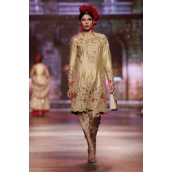 Light Gold Jazmine Party Wear
