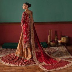 Rojo Tangerine Stokesia Farshi Lehenga