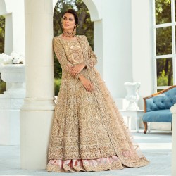 Beige Stokesia Gown and Lehenga
