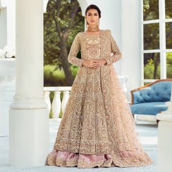 Beige Stokesia Gown and Lehenga