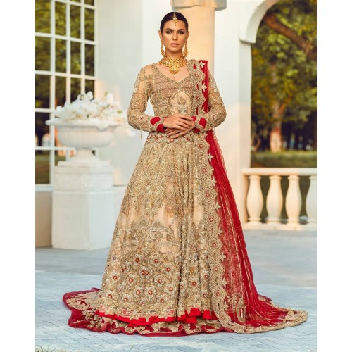 Apricot Stokesia Gown and Lehenga Apricot Stokesia Gown and Lehenga