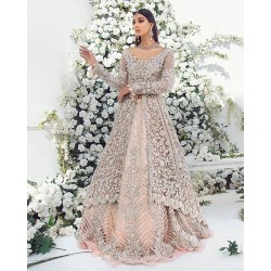 Peach Stokesia Gown and Lehenga