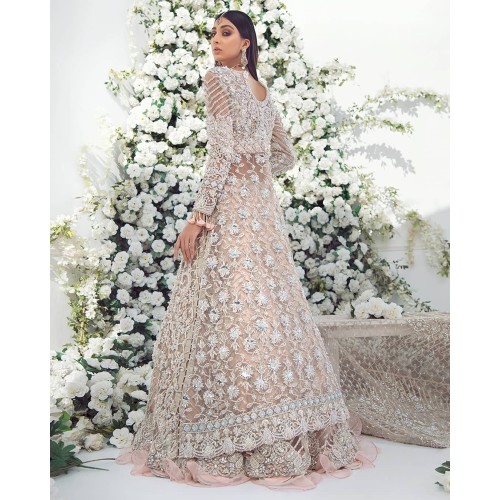 Peach Stokesia Gown and Lehenga Peach Stokesia Gown and Lehenga