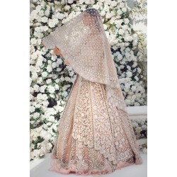 Peach Stokesia Gown and Lehenga