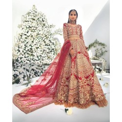 NCS Red Stokesia Lehenga Choli
