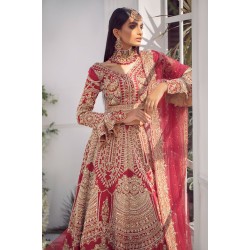 NCS Red Stokesia Lehenga Choli NCS Red Stokesia Lehenga Choli