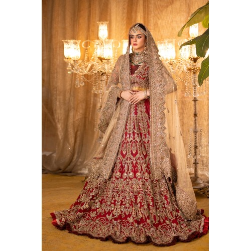 NCS Red Stokesia Lehenga and Choli