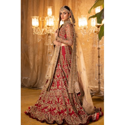NCS Red Stokesia Lehenga and Choli