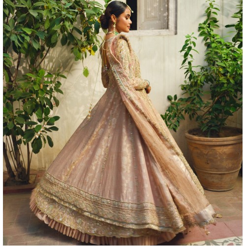 Peach Stokesia Lehenga and Lehenga Peach Stokesia Lehenga and Lehenga