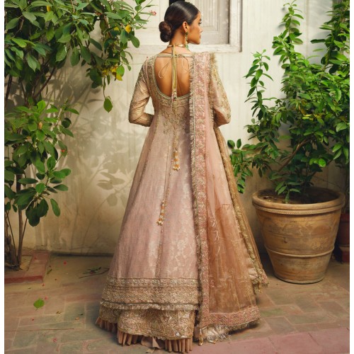 Peach Stokesia Lehenga and Lehenga Peach Stokesia Lehenga and Lehenga