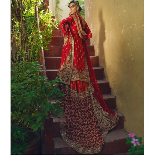 Amaranth Red Stokesia Farshi Lehenga