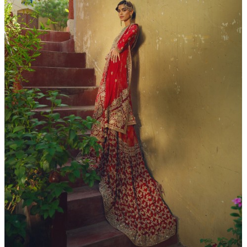 Amaranth Red Stokesia Farshi Lehenga