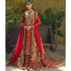 Amaranth Red Stokesia Farshi Lehenga