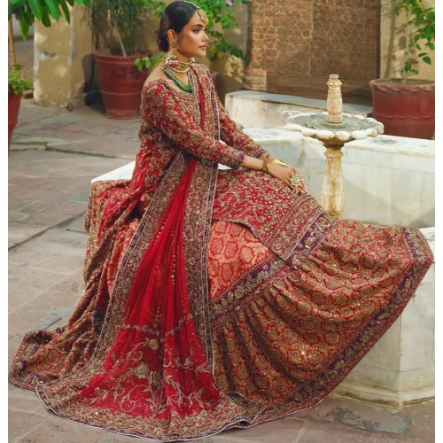 Carmine Stokesia Farshi Lehenga
